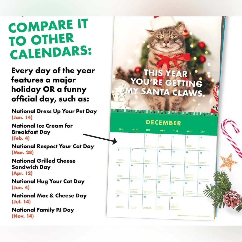 Pissed-Off Cats 2026 Calendar - Large 11x22 Size